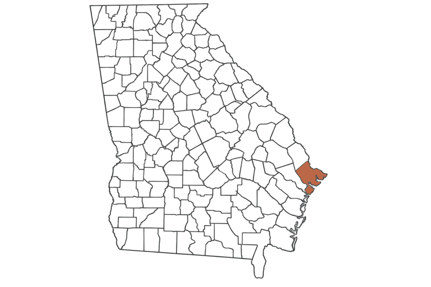 Chatham County Georgia jobs map highlighting Chatham County
