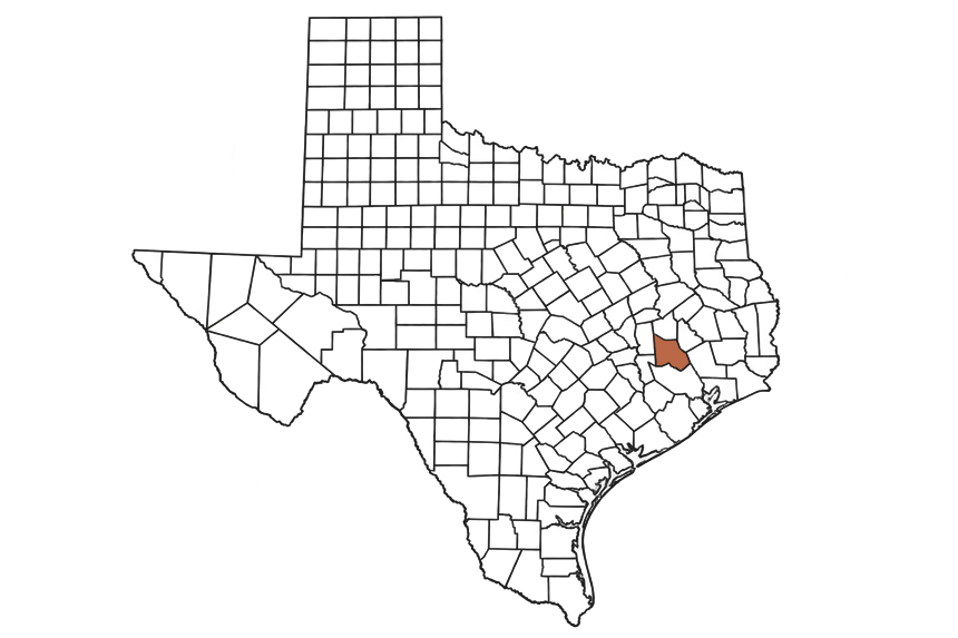 Montgomery County Texas Jobs