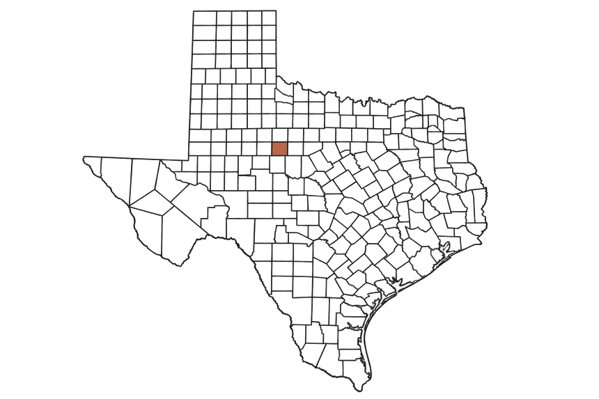 Taylor County Texas Jobs